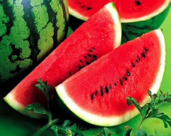 fresh fruit watermelon new crop high quality