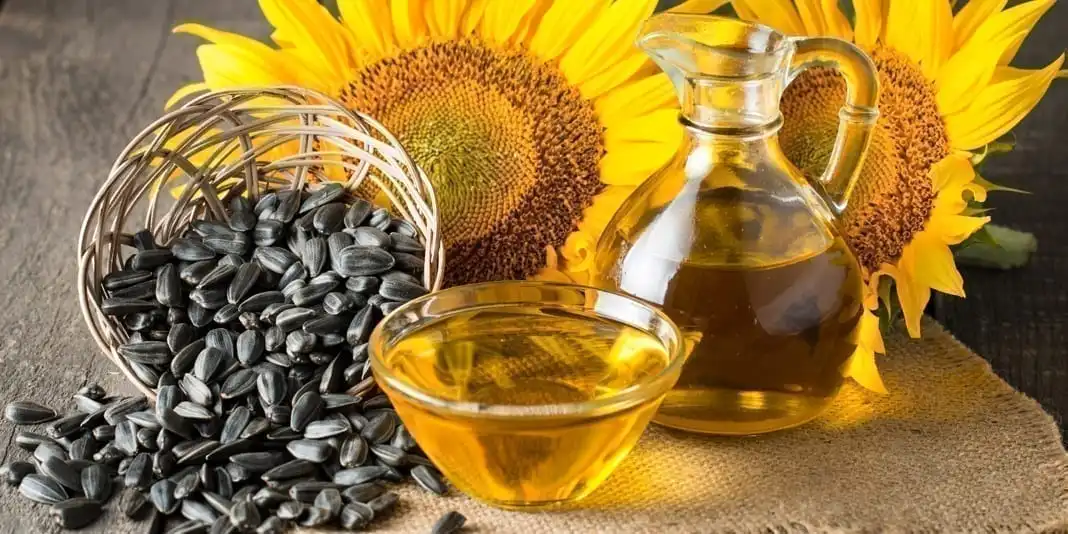 Natural Organic 100% pure Sunflower oil Siberian Cold pressed Sunflower Oils