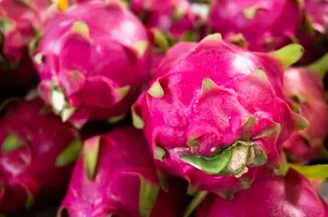 High Nutrition Tropical fruits Sweet Taste Low Fats Rich in antioxidants Red Dragon Fruits Yellow Dragon Fruits