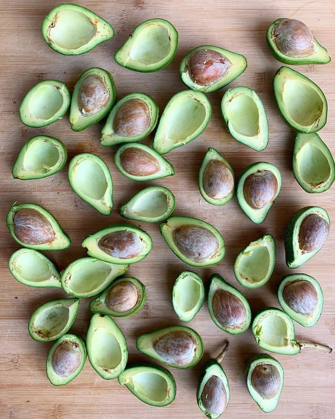 
Авокадо свежие/сушеные авокадо 