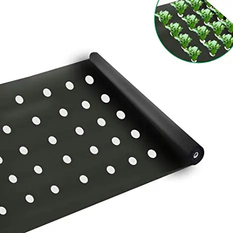 Wrapping Film Moisture Proof Feature and Agriculture Usage Polyethylene Vietnam Factory Direct LDPE Custom Size Accepted OEM-P7