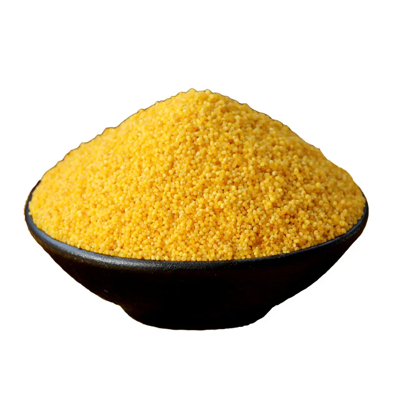 Protein-Rich Organic Foxtail Millet Gluten-free Grain Yellow Millet
