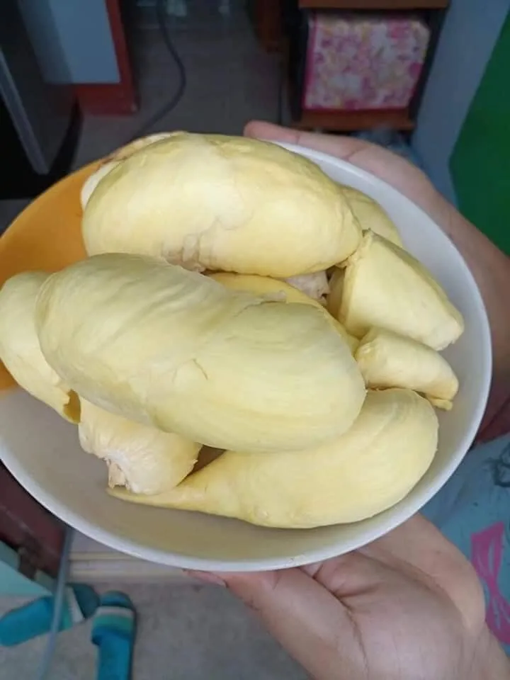 Премиум Замороженные Monthong дуриан Таиланд от SP Organic International Ltd