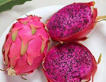 Fresh Dragon Fruit  competitive price