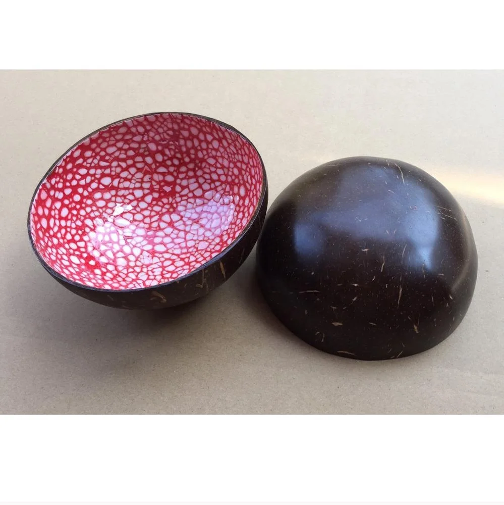 Coconut products High quality eco friendly nice MOP eggshell coconut bowl from Viet Nam Cocobowl and spoons
