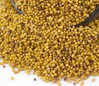 China spices wholesale factory directory sell  high-quality yellow mustard seed with low price