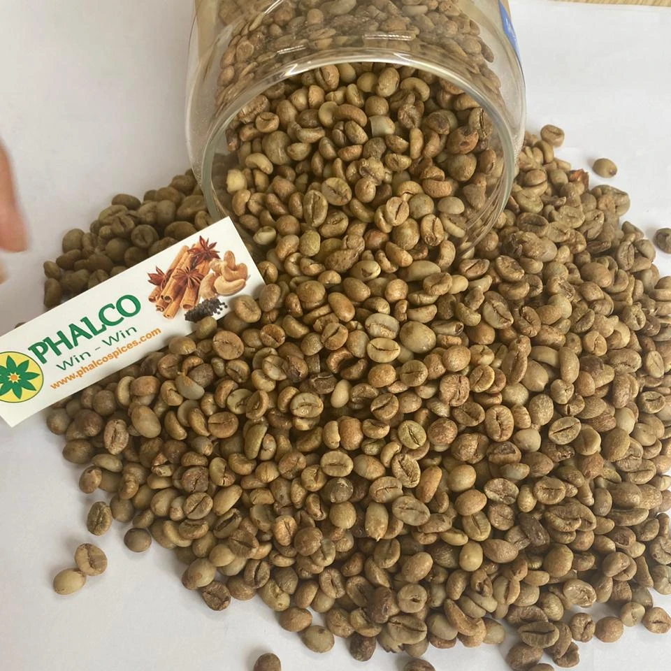 Вьетнамский кофейный экран ROBUSTA 18, чистый качество