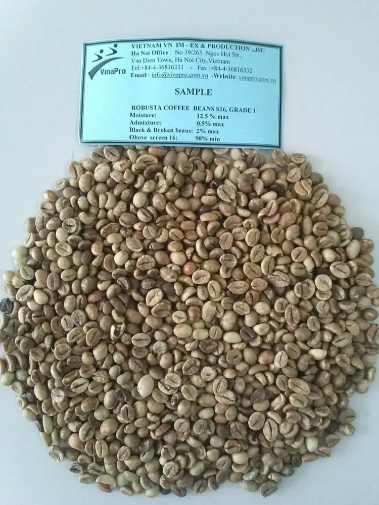 Вьетнамские немытые кофейные зерна ROBUSTA WHATSAPP + 84 889341635