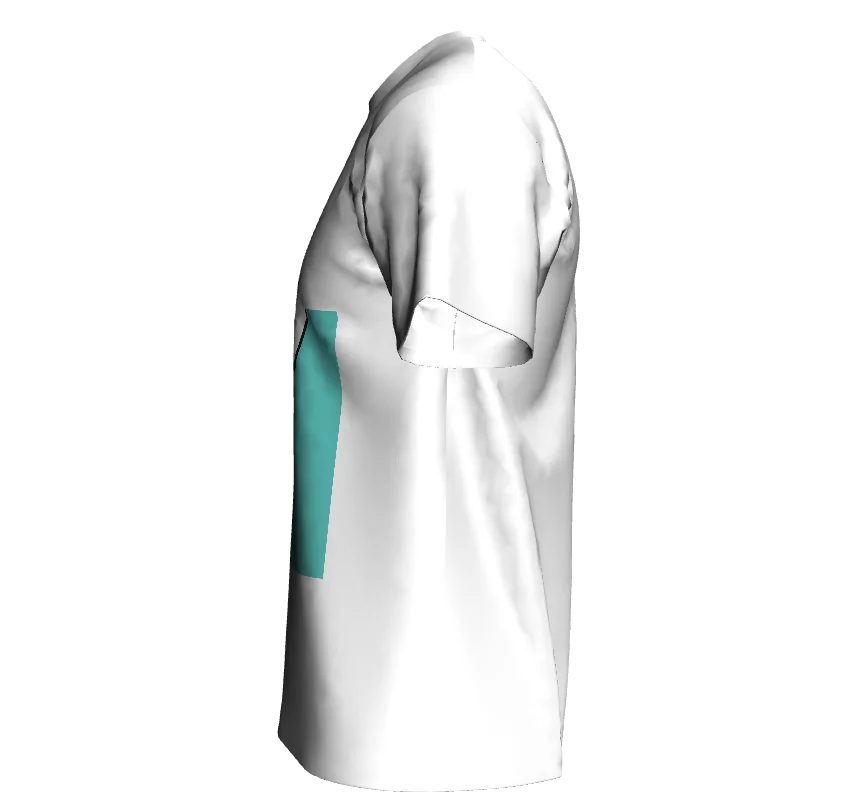 100% Organic Cotton Short Sleeve T-shirts for Men Wholesale Casual custom Print T-shirt premium quality women t-shirttshirt