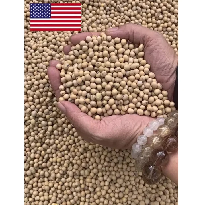 OrSaFarm USA Soya Beans Top Choice High Quality Soybeans Cheap Price Soya Beans Best Selling 5kg/pack