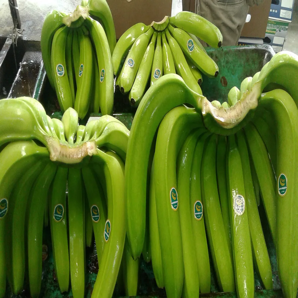 BANANAS PREMIUM