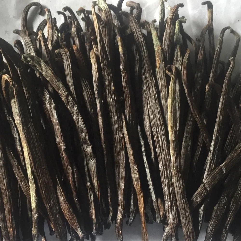 RENDAH TAHITENSIS GRADE-3 18-19.9 CM VANILLA BEANS for EXTRACTION Hot Selling Indonesian Papua Best Quality with Best Price