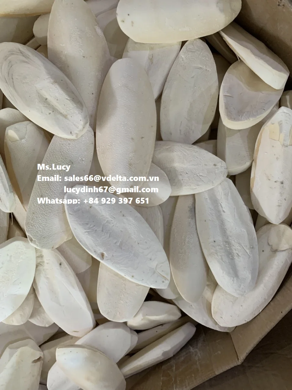  Минералы и кальций для животных/Высококачественная косточка Для морской слепки из Вьетнама мисс Люси + 84 929 397 651