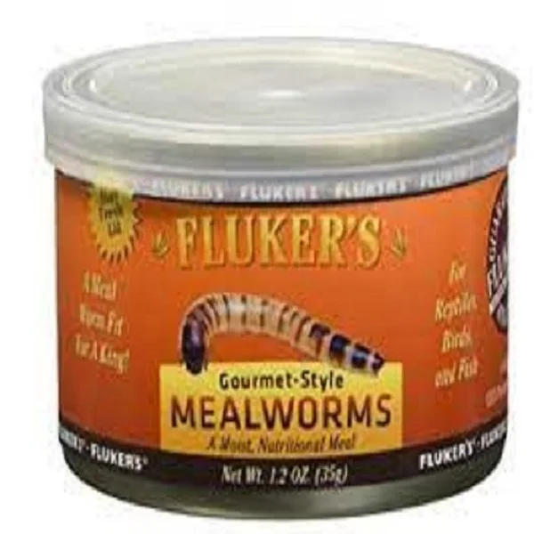 BULK IN STORE WORM MEAL