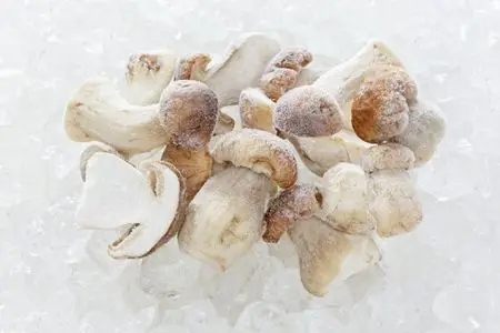
IQF Brown Frozen Mushroom 
