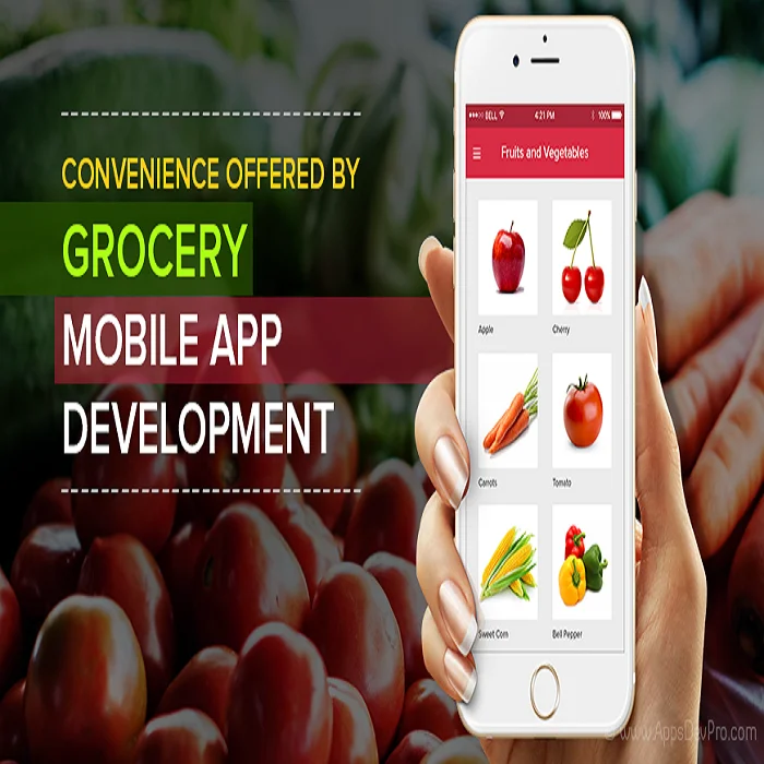 grocery app development