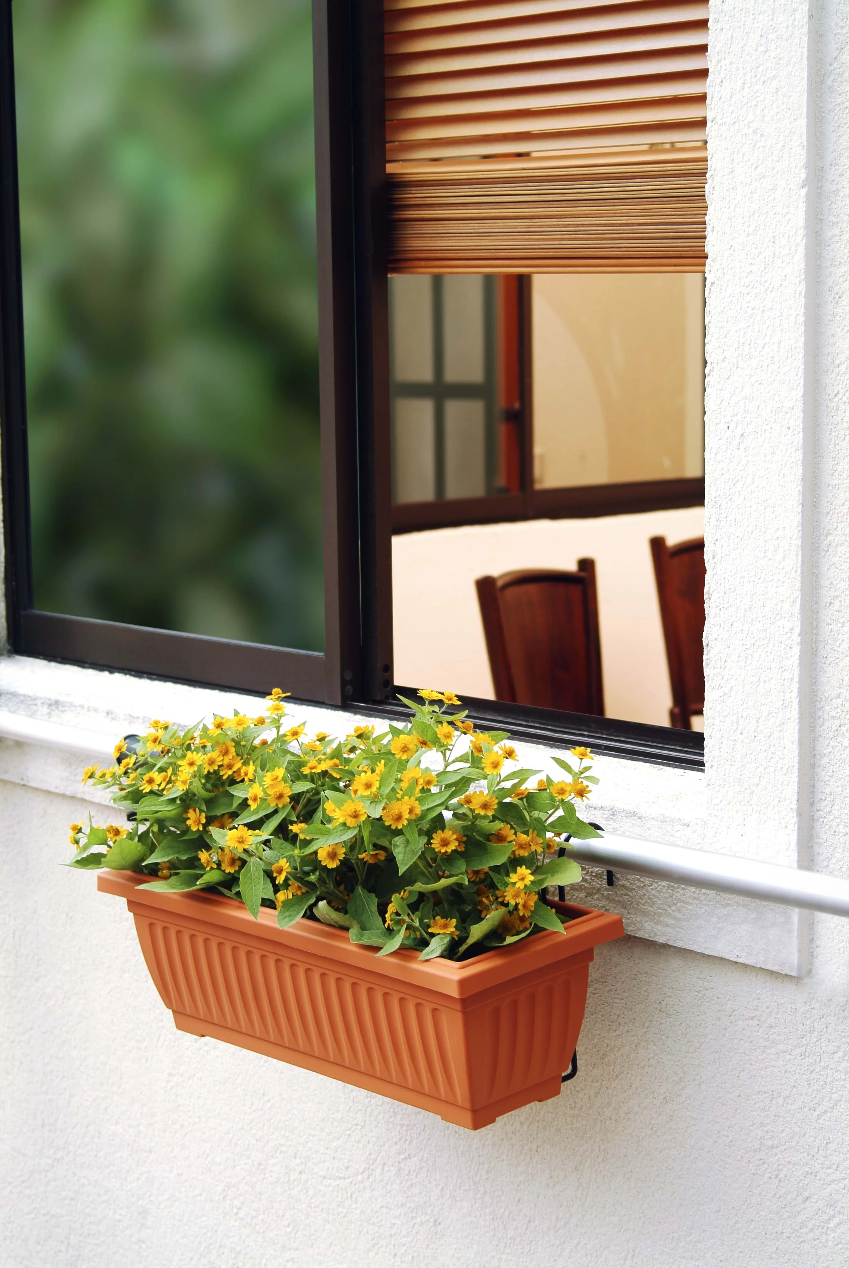 Malaysia Manufacturer Plant Biodegradable Plastic Self Watering Garden Pots Planters