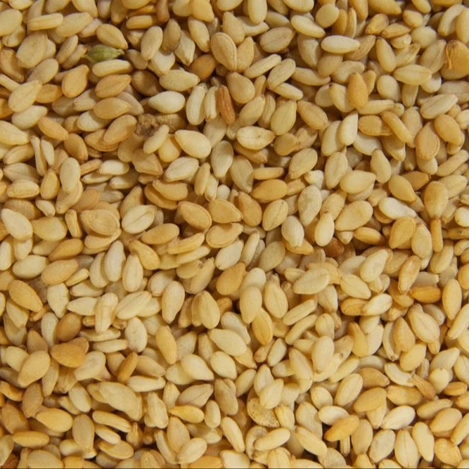High nutrition sesame seeds powder hull white sesame seed price