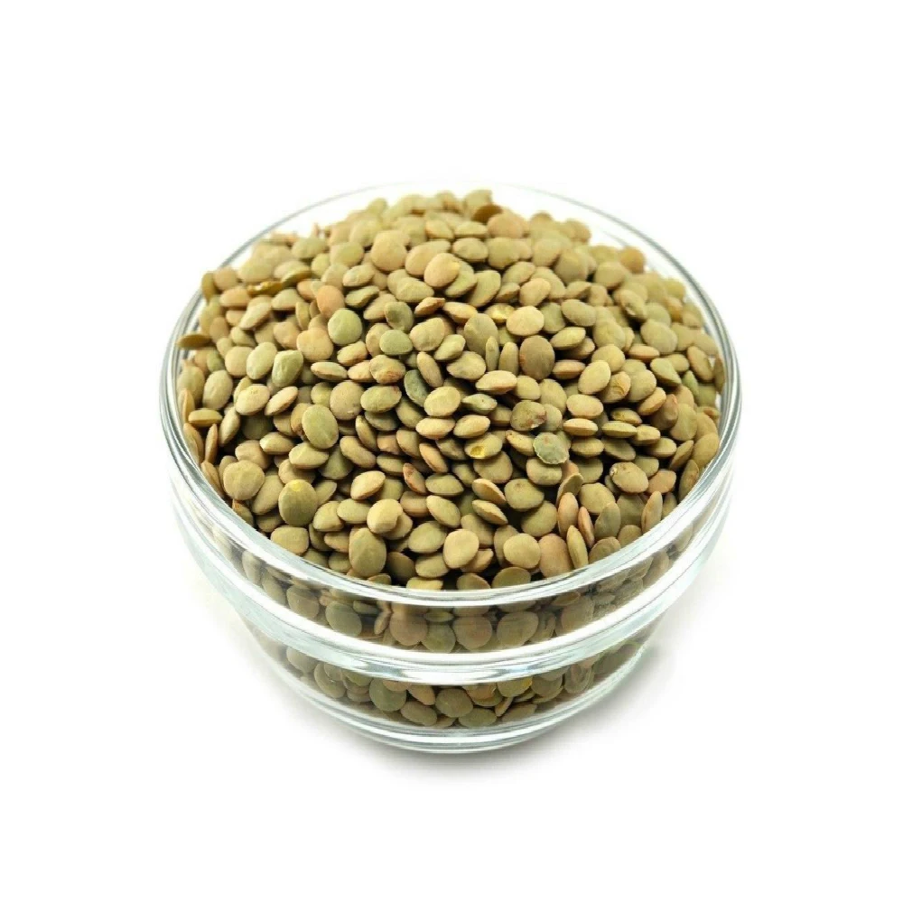 wholesale new crop good sale green lentil with best price export for food good taste