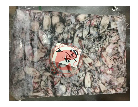 Whole Frozen Loligo Squid in Bulk Pakistani Origin Frozen Loligo Squid High Quality Whole Loligo Squid