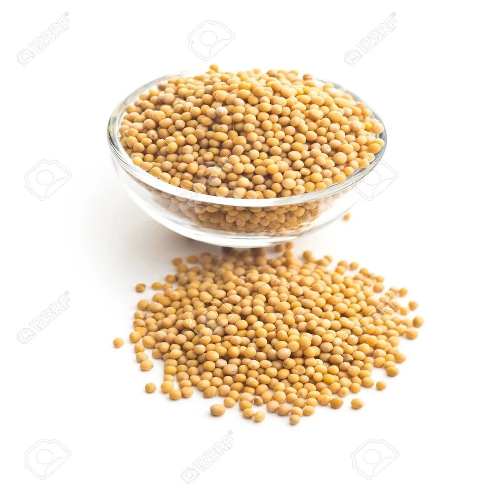 
Wholesale yellow/white/Black mustard seed cheap price 