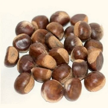 
healthy chestnuts for sale 