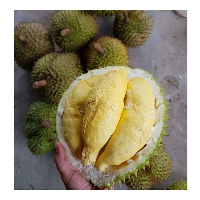
VIETNAMESE BEST QUALITY DURIAN FRUIT 2020 - Fresh Durian / Dry Durian / Durian Frozen at Competitive Price 