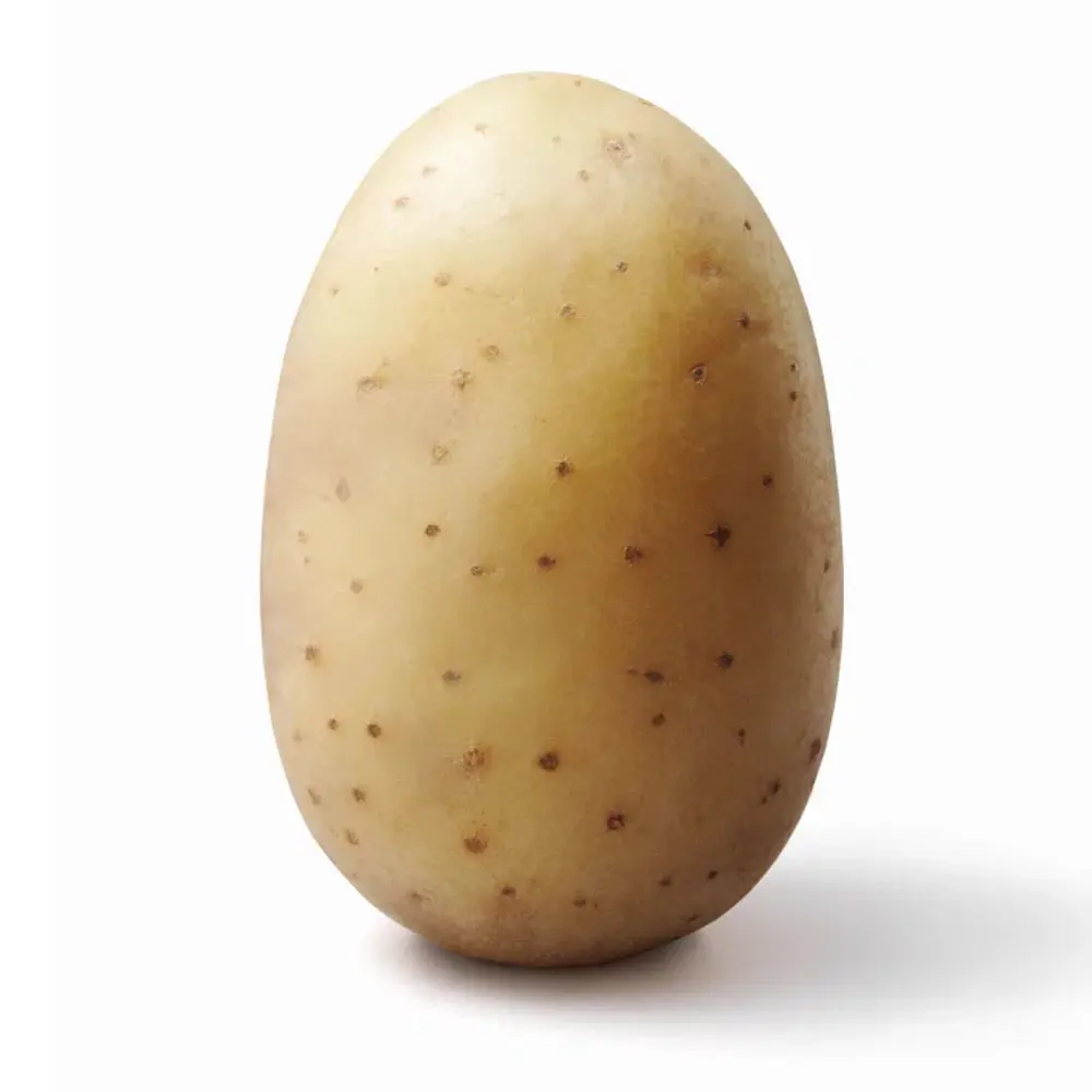 Best Sale High Quality Competitive Price Potato For Pakistan | 2022 New Crop Fresh Potato  For Cooking