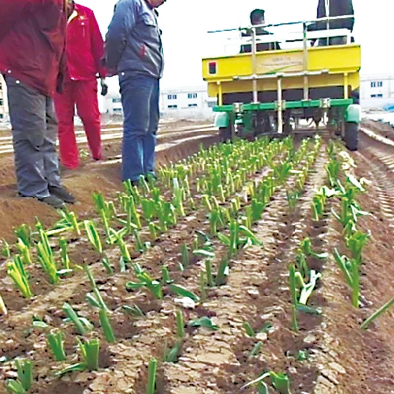 New Product 2 Row Transplanter Vegetable Transplanter Seedling Transplanter