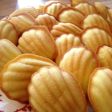 
Fresh style and tropical & sub-tropical fruit good type CHEAPEST SIAMESE BANANA 