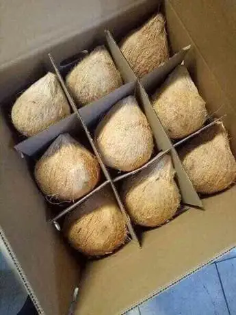 Высококачественный полуочищенный кокосовый орех/кокосовый орех