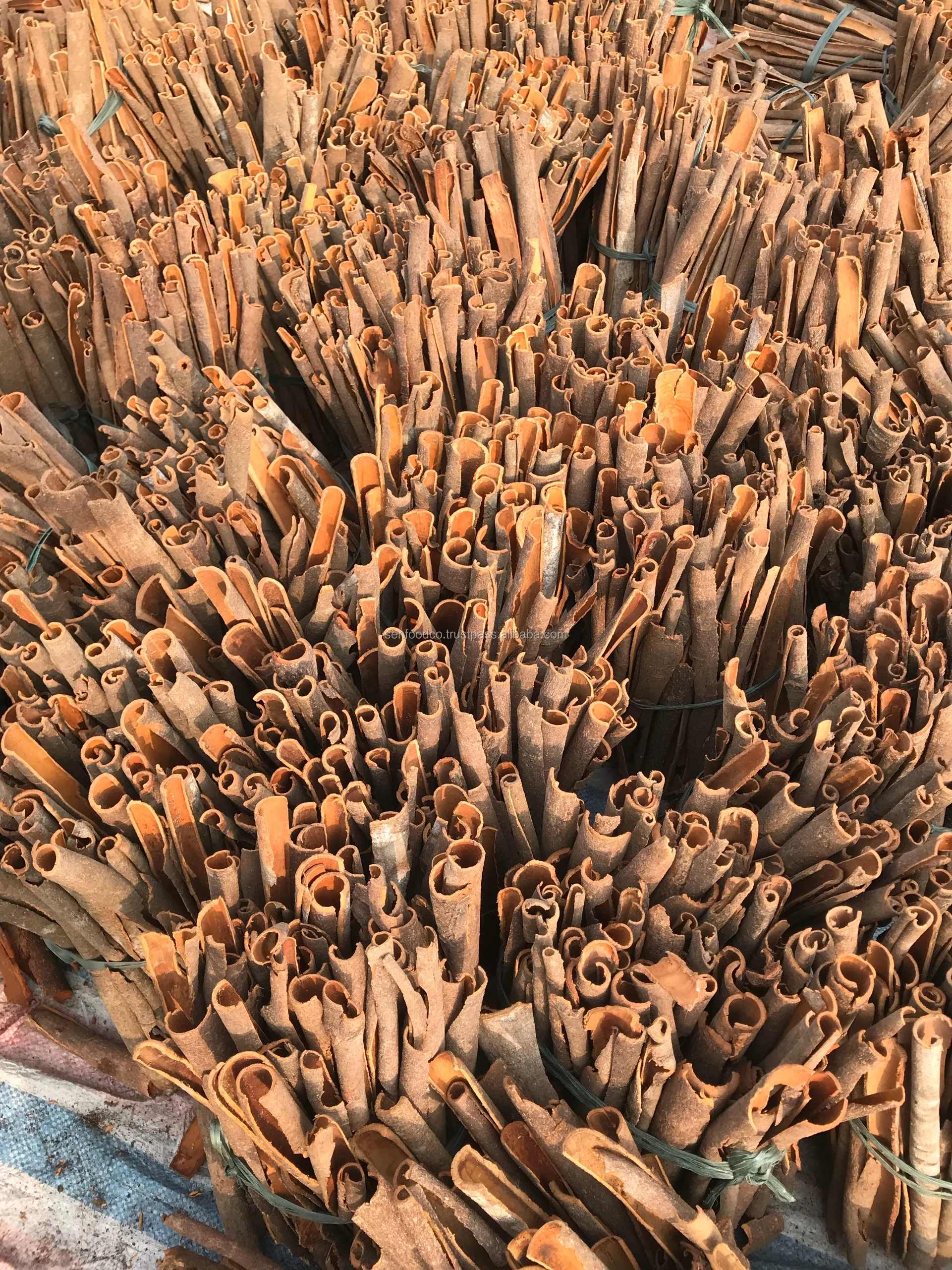 Высококачественная разделенная Корица/разделенная Кассия из Вьетнама CONTACT + 84 934 449 569