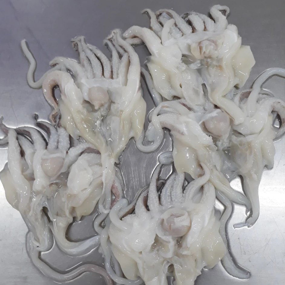 CUTTLEFISH HEAD FOR SALE