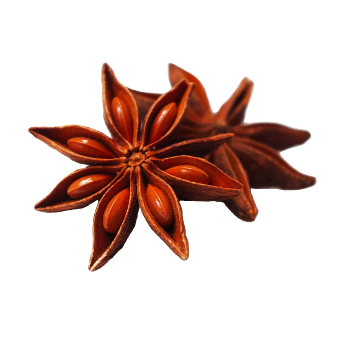 WS +84359166896 No.1 Vietnamese Star Anise With High Oil Content Small Broken Rate And Extremely Dry Good Price Ready To Ship