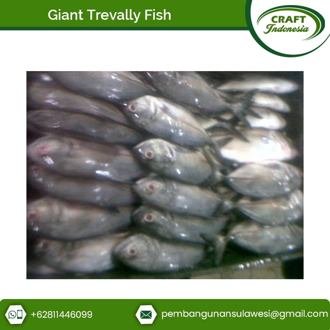 Seafood Frozen Dried Giant Trevally Fish