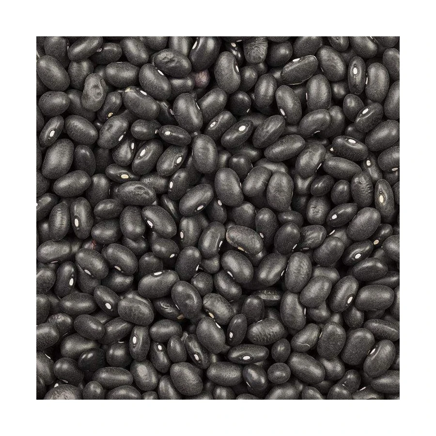 Non- Gmo Premium Hot Selling China Price Of Black Kidney Beans Available at cheap price