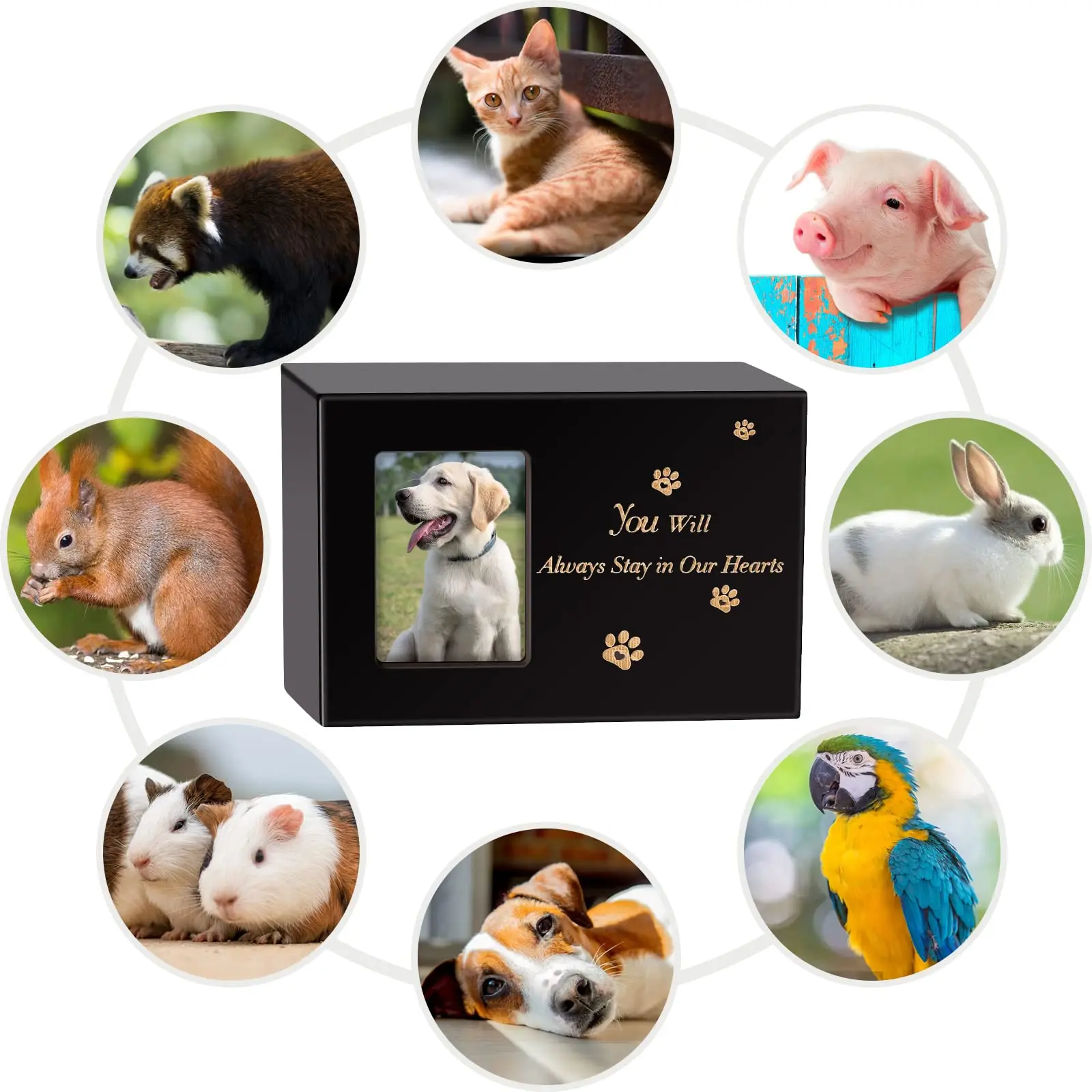 Cross border pet casket pet coffin physical customization pet sustenance feelings customization