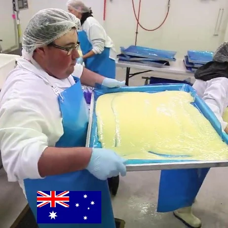 6% 10-HDA Royal Jelly Powder - Australian Owned - Lyophilised Powder - 6% 10-HDA Royal Jelly Powder - Kangaroo Island