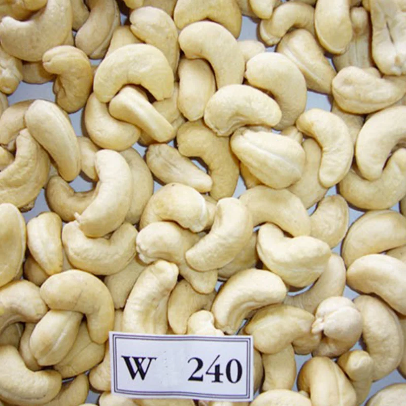 Dried style and raw processing kind CASHEW KERNEL