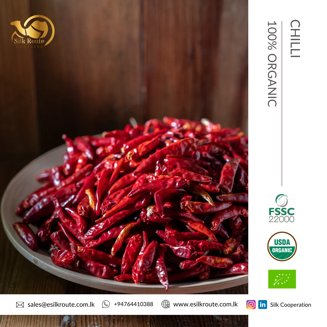 100% Pure Fresh Red Hot Organic Natural Dried Chili Pepper Pods from Sri Lanka