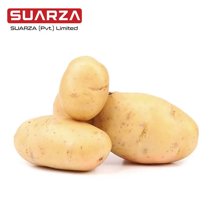 Белый картофель