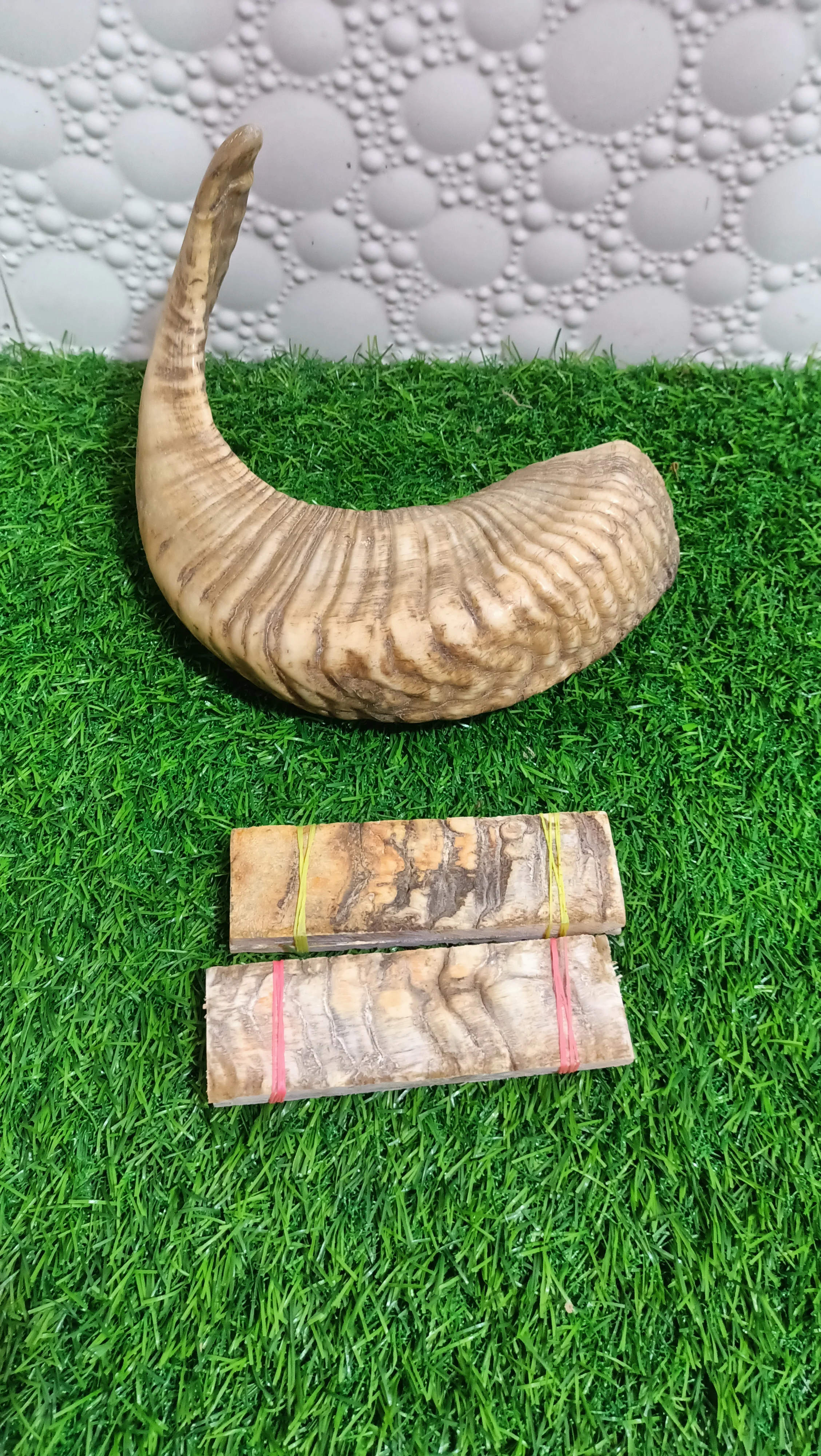 sheep horn plate for knife handle