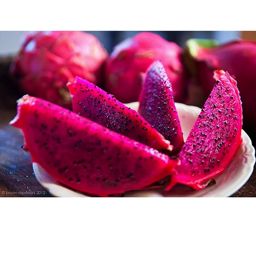
100% FRESH DRAGON FRUIT EXPORT STANDARD PRICE FOR SALE HIGH QUALITY !!! 