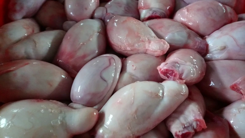 ORGANIC BEEF TESTICLE FRESH PROCESSING FROZEN BEEF TESTICLE HIGH QUALITY A GRADE BEEF TESTICLE ORIGIN MONTENEGRO