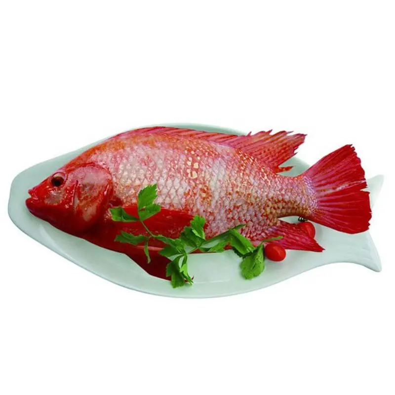 Best Wholesale Frozen Red Tilapia Fish from Vietnam (Thai Lien Company, Ms Phuong: +84789196389)