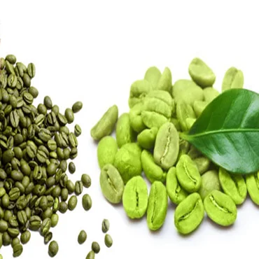 Weight loss green coffee been/ green coffee beans wholesale - Whatsapp: +84-845-639-639