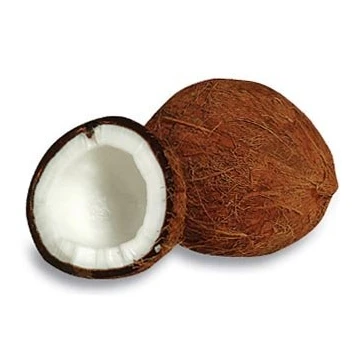 Fresh mature coconut in bag newly harvested made Viet Nam Phytosanitary Certification Coconut for