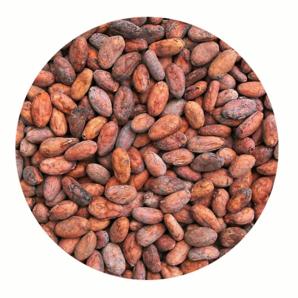 
20-22 Alkalized Cacao Powder, Premium Quality! 
