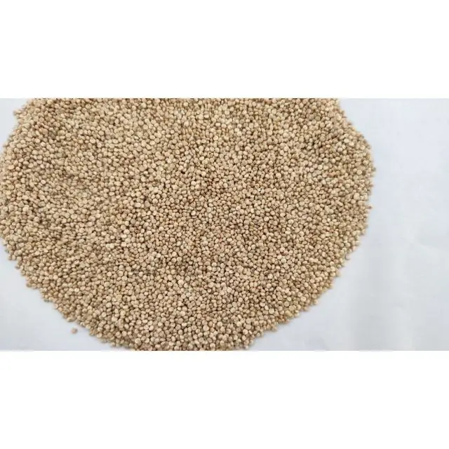  Цена экспортного качества Оптовая поставка белых сырых семян Quinoa высокий уровень