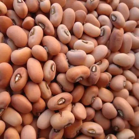 
COWPEAS cowpea for sale / Brown Cowpeas / White Cowpea 